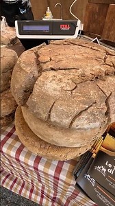 Italian Cheeses Matured Underground. Italy Food Festivals