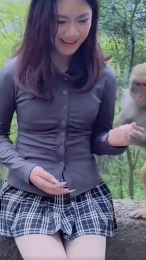 Monkeys only look for beautiful women. #monkeys #monkey #monkeysofinstagram #animals #wildlife #nature #wildlifephotography #monkeylove #animal #primates #photography #babymonkey #monkeyseemonkeydo #primate #monkeymemes #monkeyface #naturephotography #ape #animalphotography #zoo #travel #monkeyingaround #funnymonkey #chimpanzee #monkeybusiness #love #apes #cutemonkey #monkeyking #animalsofinstagram | My Love Monkey