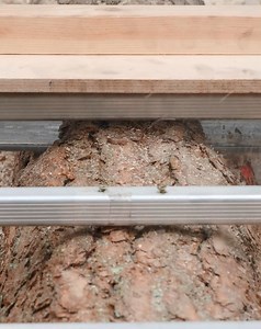 220K views · 164 reactions | Chainsaw Woodworking: Tips and Techniques | Peaceful Century | Facebook