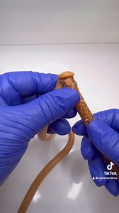 22K views · 682 reactions | Boho style pretzels with all supplies...