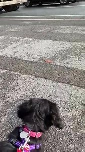 SYP Operational Support on Reels