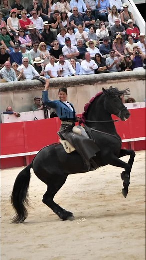 Jazmín magnifique sous la selle de Lea Vicens à Nîmes #feria #leavicens #corrida #ahombros #toros #Nîmes #torero #fyp #rejon #horses #video #love #cheval #lv