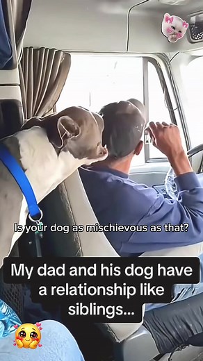 Perro divertido reacciona a mujer maravilla atada