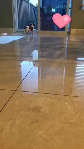 Linda Scarpa on Reels