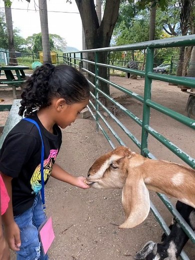 Hope Zoo Kingston on Reels