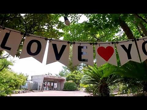 Exploring Loveland (last day of Jeju trip)