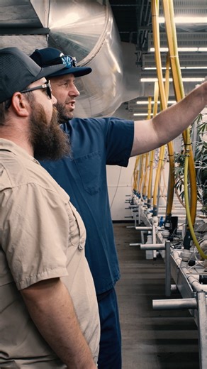 Dr. Robb Flannery from @drrobbfarms has been loving their @innovativegrowersequipment rolling benches 👀 One of the hardest parts about setting up a large scale facility is saving money while choosing the highest quality, longest lasting hardware. IGE rolling benches are the perfect solution to accomplish both of those goals -- the benches in this video are over 90 FEET long -- and moving them is as easy as ever, requiring almost no effort at all. Made in America with galvanized steel tubing spe