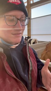 208K views · 13K reactions | Oh Carol, your “photo evidence” proves nothing to your point. In fact, it clearly shows that even though there’s a snowstorm, those calves are still being fed and cared for. | Megan DairyGirl | Facebook