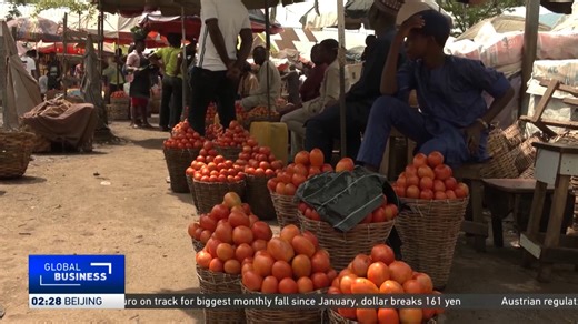 The attacks by the Tuta absoluta moth pest have resulted in a tomato shortage in Nigeria, hitting markets very hard. Traders are also straining to maintain their regular output, while consumers are struggling to find alternatives. | CGTN Africa | Facebook