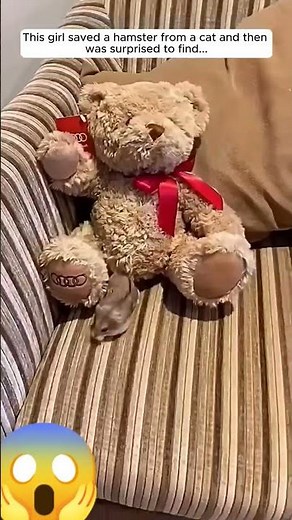 ye kya hai itna pyar 😱😨😨😨🫡🫡😱🐕🐕🥰🥰😱🫡😱😨😨😨🥰🫡🫡🫡#new #viral #shortvideo #trending #explore 🥰🥰🥰🫡🫡😨😨🥰🥰🥰