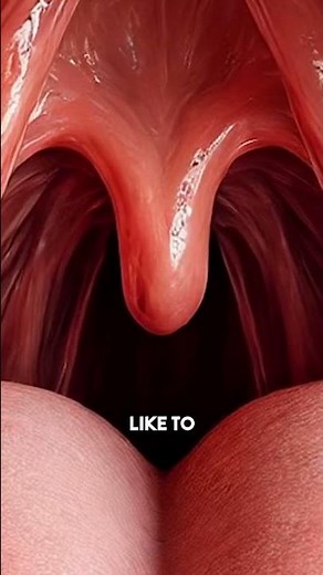 How the Uvula Actually Works 😮👅
