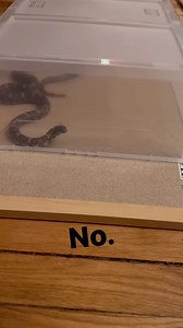 Great news for Isabel Lawrence—dad jokes return on Monday along with the one and only Danita Harris - WEWS and my buddy Dave Chudowsky 😅 | Matt Wintz