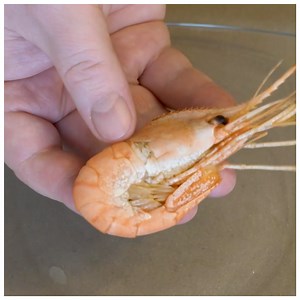 30K views · 29 reactions | How to Peel Shrimps Like a Pro | 5-Minute Crafts GIRLY | Facebook