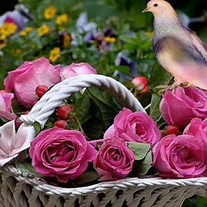 4.8K views · 245 reactions | Hazan GüLüm.  Bazı insanlar bazı insanlara şifadır. ALLAH şifamızı versin gönlümüze iyi gelen insanları ömrümüzden eksik etmesin. | EsraRengiz Sözler. | Facebook