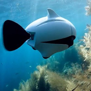This remote controlled ‘fish drone’ has a built-in camera🐠📹 For more content: http://bit.ly/2BsvUPh | Yahoo Singapore
