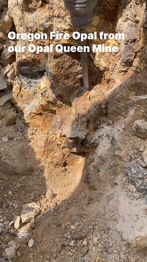 Mining Oregon Fire Opal at our Opal Queen Mine. #gemstones #opal #Oregon #mining #oregonfireopal | Troy Newman