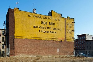 Hot Bird - Alchetron, The Free Social Encyclopedia
