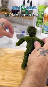 18K views · 106 reactions | Aqua Rebell DIY Mossman - Part 2 履‍♂️ #werbung #aquarebell #fertilizer #iron #npk #oliverknott #okaqua #okisback #aquascape #aquarium #aquascaping #aquariumhobby #aquariumtank #aquariums #akvaryum #instapet #myhobby #aquariumfish #instafish #tropicalfish #aquatic #aquaticlife #fishtank #fishkeeping #freshwaterfish #aquaticplants #aquariumplants #mossman | Oliver Knott | Facebook