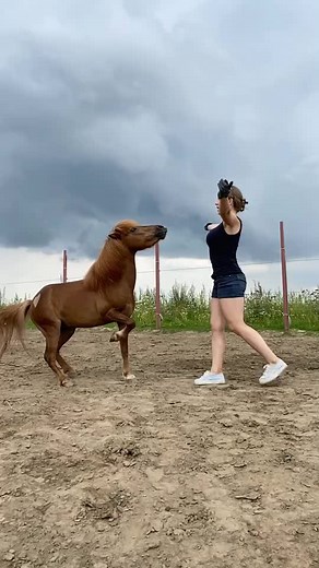 Светлана Алексеева on TikTok