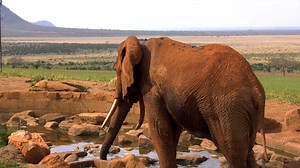 Afrika kettős világa ... 🌍 ... úton-útfélen szembejön az ide ellátogató turistával. A szegénység, a nem megfelelő közbiztonság, az európai szemnek szokatlan higiéniai körülmények hatalmas kontrasztot alkotnak az emberek kedvességével, illetve a természet mérhetetlen gazdagságával. Legújabb filmemben ebbe adok egy kis bepillantást. Ha érdekel a teljes film, klikk ide: https://youtu.be/1079ZwpCUXQ | Gábor Döme