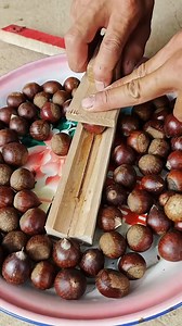 The process of shelling chestnuts | Top Work
