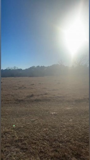 25K views · 2.9K reactions | Hand therapy. #IAskedMyDoctor | Shirtless Jake's Homestead | Facebook