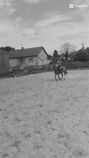 Alice Poignant sur TikTok