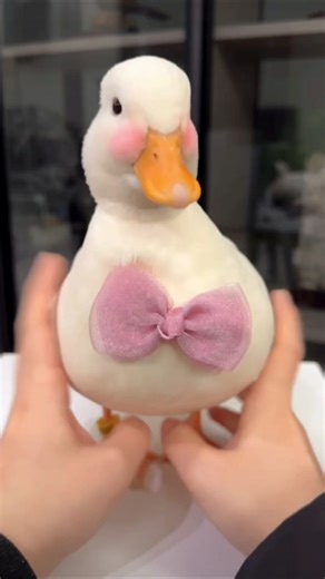 Cute Miss Duck #short #viral #birds😍😍