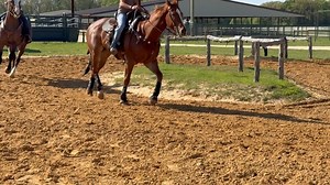 Wild Eye Ranch on Reels