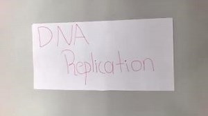 DNA Replication explained in less than one minute #biotech #biotechnology #biology #science #microbiology #laboratory #scientist #laboratorylife #genetics #cellbiology #stem #mitosis #celldivision Video from Garrett Dayal & Alejandro Gonzalez. | GenScript | Facebook