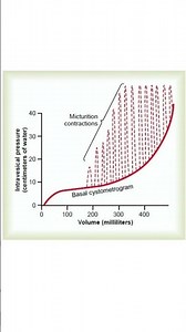 Physiology - Cystometrogram