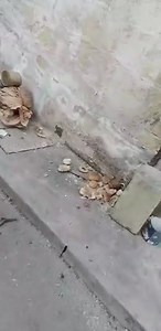 Malta Dizastru TOTALI !!!!!!!! on Reels