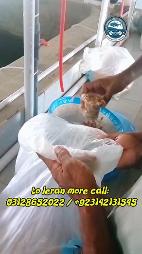 Feed Calculate kar k dalni chahyee #bioflocfishfarming #EarnFromHome #safebusiness #PakistanFishFarming #Biofloc #RainySeasonTips #pakistan #Gadap_Town #NayaSafar #SmallBusinessIdea #gadaptown #karachi #viral #karachifashion #FarmingRevolution #Pangasius #EcoFarming #biofloctraining #gadap #FoodSecurity #fishing #FishFarmingStartup | As Sammak BioFloc Fish Farming