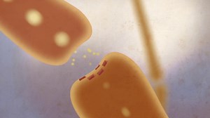 Neuromorphic Computing - Future of AI?