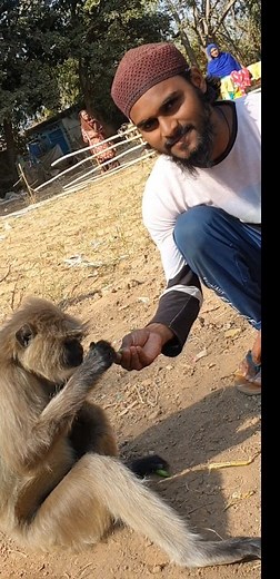 45 reactions | Mai khuda ko bataunga ♥️♥️ #animal #bander #monkey #islamic #islamicpost #islamicvideos #explore #trending #viralfb #fbviral #fbreels #instagood #instalike #shorts #video #islamicvideo #trendingvideos #reels #réel #reelsinstagram #reelfb | Ataul Ayan | Facebook