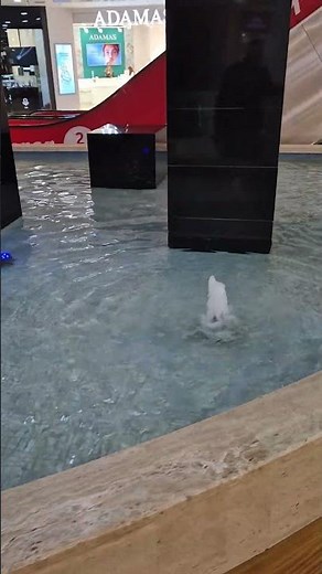 Arrived at Europark.