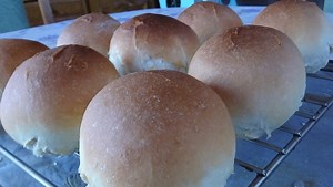 Egyszerű házi vizes zsemle