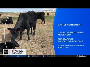 Nevada and Idaho reach agreement on movement of unvaccinated cattle