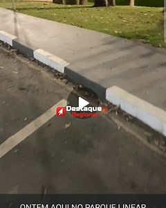 54K views · 1.7K reactions | Onça-parda é vista no Parque Linear em Cajamar O registro foi feito durante a madrugada desta terça-feira (8). O vídeo foi gravado por David Soares. O vídeo está circulando em diversos grupos de WhatsApp entre moradores da região. | Destaque Regional | Facebook