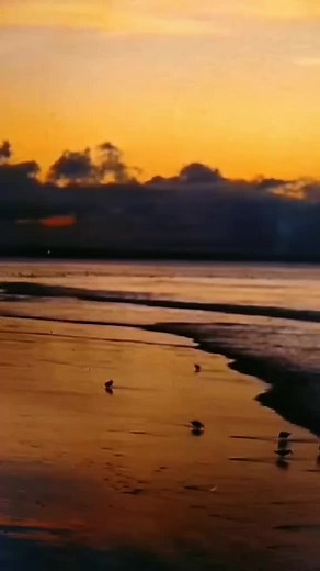 #syukuri apa yang SDH ada#fyypppppppppp