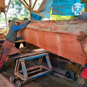 248K views · 3.5K reactions | Sawing a giant red stone meranti wood into beams | Bored Panda Art | Facebook