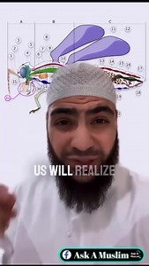 “So, which of the bounties of your Lord will you deny?” (Quran-Chapter 55) ❤️ #quran #miracle #islam #Muslim #sunnah #hadith #science #quranandscience #faith #fly #explore #exploremuslim #exploreislam #alhamdulillah | Ask A Muslim