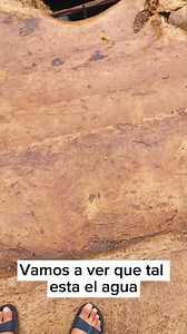 Si andas por estos rumbos visita el #Cenote ubicado en la Comisaría de Noc-Ac | 🌿📍🍂🌊 A tan solo $15 pesitos, Cenote tipo semi-abierto y con el agua totalmente cristalino 😍📍 | Viviendo Yucatán