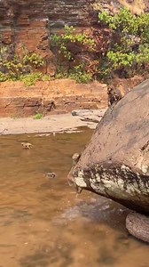 11M views · 20K reactions | This pool party looks like so much fun! It made us want to have one ourselves #SummerIsHere VC: Barkha Tamrakar @BarkhaTamrakar | TheBetterIndia | Facebook