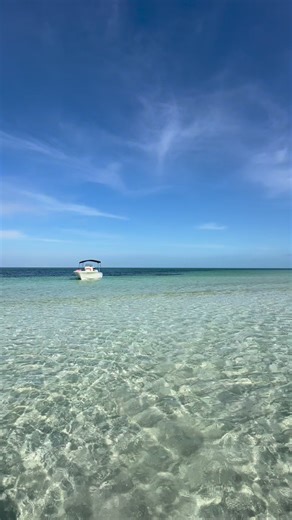 4.9K views · 34 reactions | It’s hard to beat beautiful mornings like these at the Sandbar in Key West, FL #keywest #keywestfl #thefloridakeys #visitkeywest #snipepoint #snipespointsandbar #lifeontherockscharters #sandbar #sandbarcharters #thingstodoinkeywest | Life On the Rocks Charters | Facebook