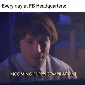 1M views · 3.6K reactions | "Incoming puppy compilation!" | Smosh | Facebook