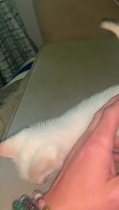 Aaron Kelly on Reels | Facebook