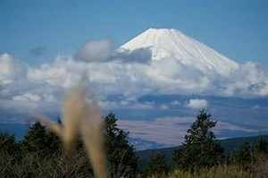 伊豆 下賀茂温泉《犬と旅》 | windmind blog