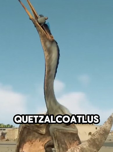 Understanding the Horrifying Quetzalcoatlus