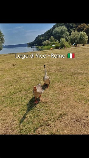 Lago di Vico (Lake Vico) - Rome 🇮🇹 #ChamikaSirimanna #LagoDiVico #lakevico #ferragosto #AssumptionOfMary #rome #roma #italy #italia #summer #estate | Chamika Sirimanna